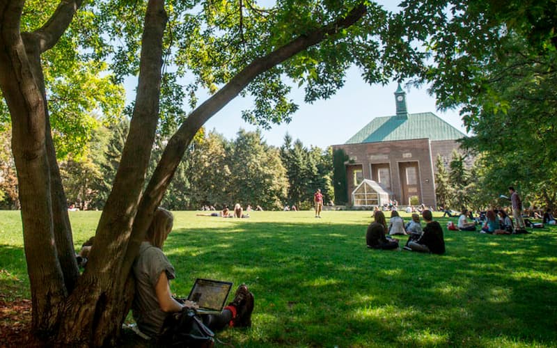 Kerr Hall quad in summer, students scattered across the grass, some lounging, others studying, creating a lively atmosphere of relaxation and academic focus amid the greenery.