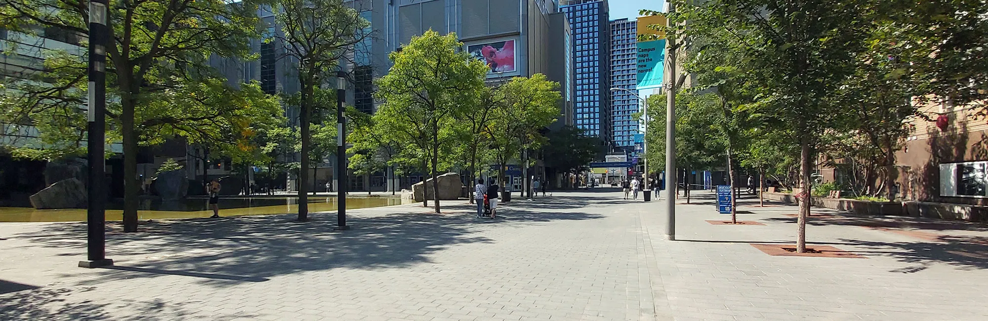 Landscape view of Gould Street with Lake Devo on the left and Kerr Hall on the right. 